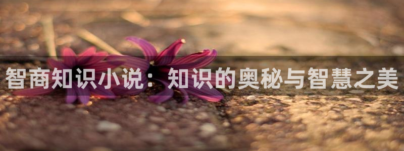 80小说下载网站 免费下载完结趣书网：智商知识小说：知识的奥秘与智慧之美