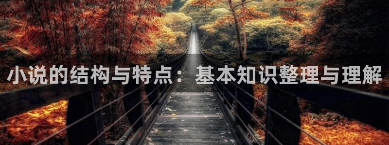 大叔你好大江流小说免费阅读趣书网：小说的结构与特点：基本知识整理与理解