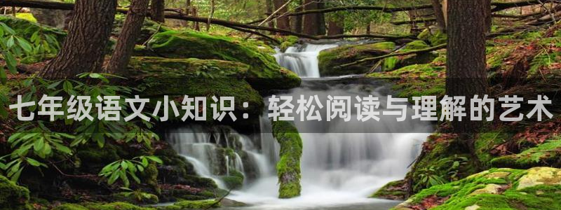 百合小说趣书网txt：七年级语文小知识：轻松阅读与理解的艺术