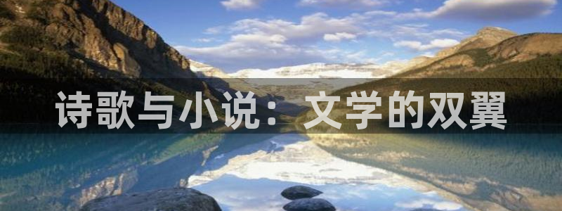 txt下载趣书网：诗歌与小说：文学的双翼