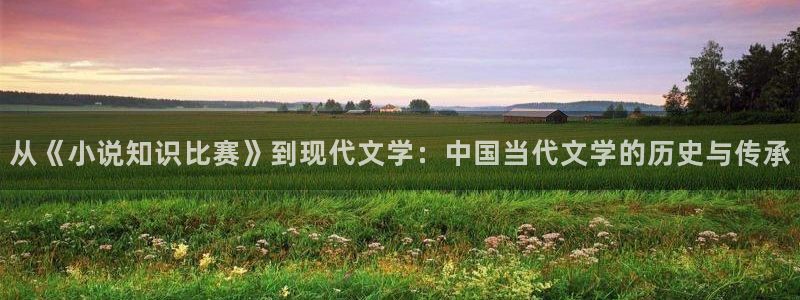 好看男生小说趣书网：从《小说知识比赛》到现代文学：中国当代文学的历史与传承