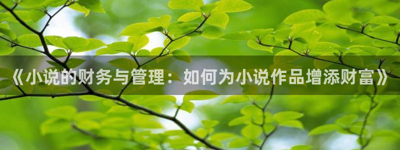 笔趣书阁免费版最新版：《小说的财务与管理：如何为小说作品增添财富》