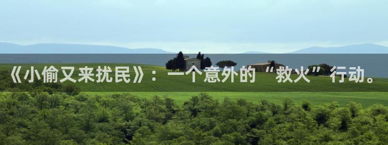 成为起点男的金主爸爸趣书网：《小偷又来扰民》：一个意外的“救火”行动。
