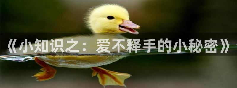笔趣书阁免费：《小知识之：爱不释手的小秘密》