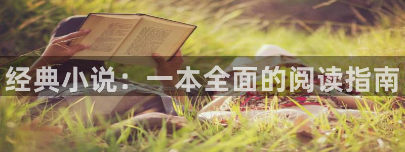 类似趣书网宝书网的网站：经典小说：一本全面的阅读指南