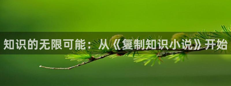 笔趣书阁网：知识的无限可能：从《复制知识小说》开始