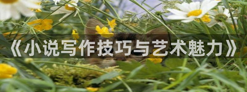 笔趣书阁下载：《小说写作技巧与艺术魅力》