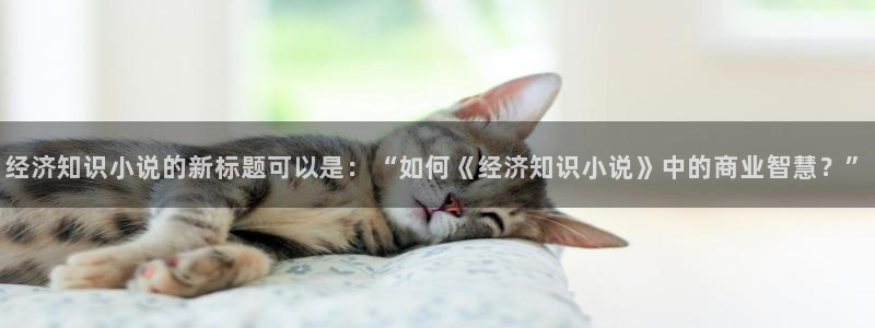 趣书网txt手机下载网站：经济知识小说的新标题可以是：“如何《经济知识小说》中的商业智慧？”