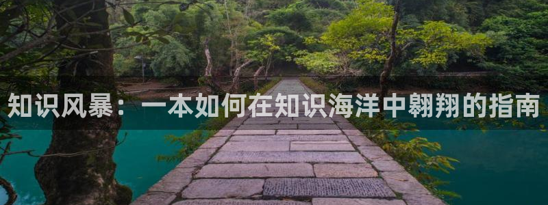 笔趣书：知识风暴：一本如何在知识海洋中翱翔的指南