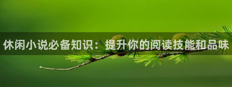 趣书网小说网：休闲小说必备知识：提升你的阅读技能和品味
