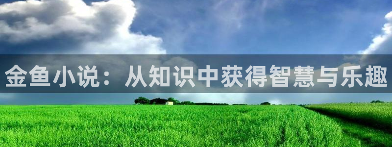 笔趣书下：金鱼小说：从知识中获得智慧与乐趣
