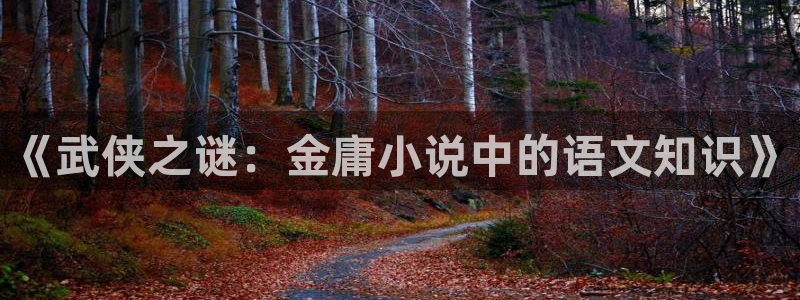 趣书网txt：《武侠之谜：金庸小说中的语文知识》