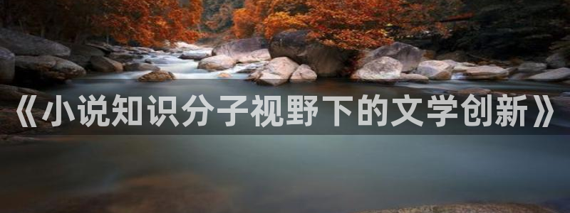 笔趣书阁免费阅读小说软件：《小说知识分子视野下的文学创新》
