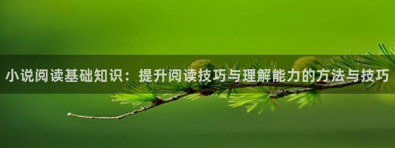 趣书宝书网：小说阅读基础知识：提升阅读技巧与理解能力的方法与技巧