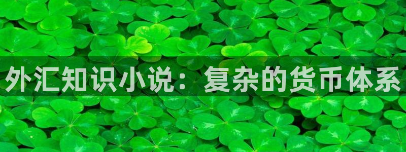 穿成龙族唯一的幼崽txt趣书网：外汇知识小说：复杂的货币体系
