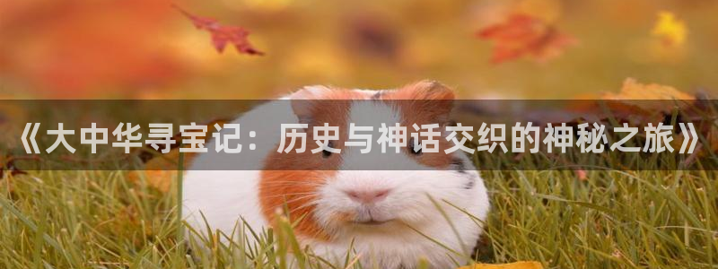 txt趣书网：《大中华寻宝记：历史与神话交织的神秘之旅》