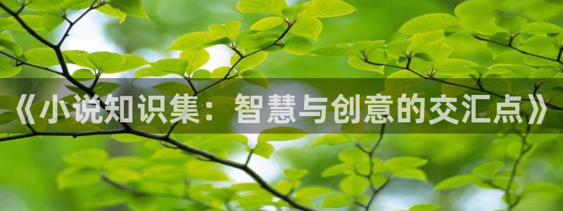 笔趣书阁txt：《小说知识集：智慧与创意的交汇点》