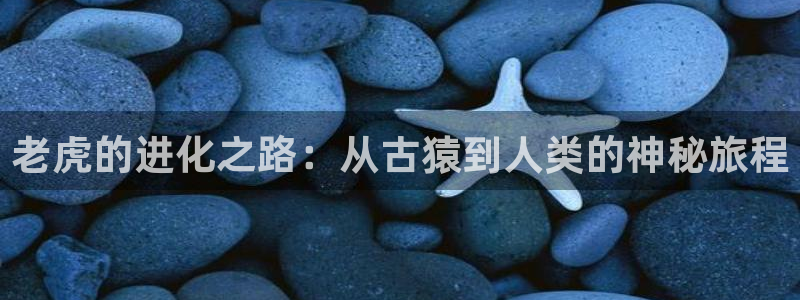 趣书网宝书网：老虎的进化之路：从古猿到人类的神秘旅程