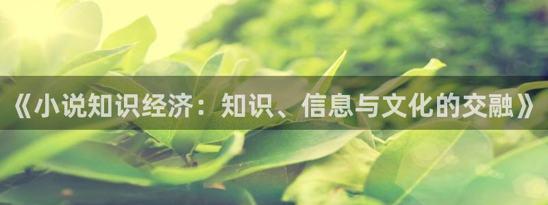 趣书网cc宝书网页：《小说知识经济：知识、信息与文化的交融》