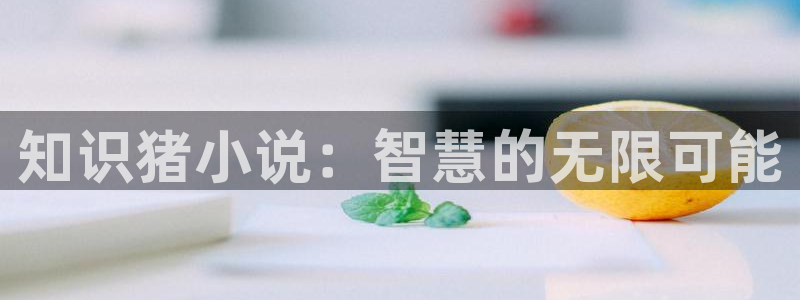 笔趣书阁小说阅读：知识猪小说：智慧的无限可能