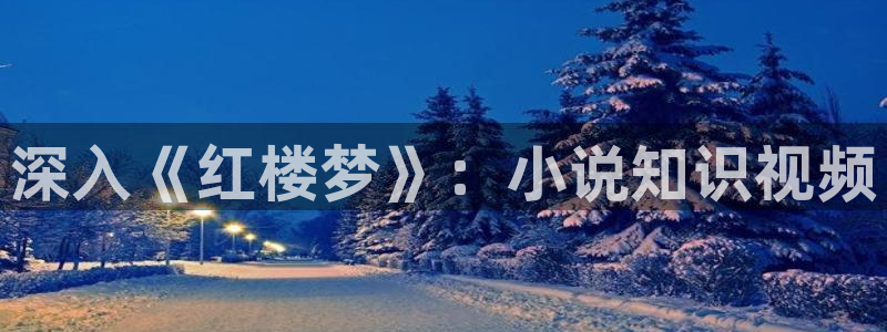 m.qubook 趣书：深入《红楼梦》：小说知识视频