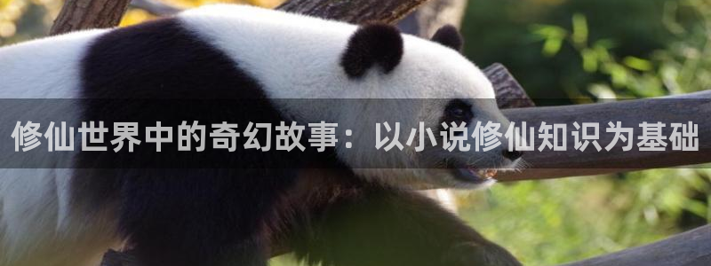 下载笔趣书阁小说：修仙世界中的奇幻故事：以小说修仙知识为基础