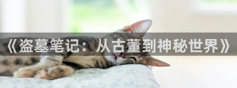 笔趣书阁小说下载：《盗墓笔记：从古董到神秘世界》