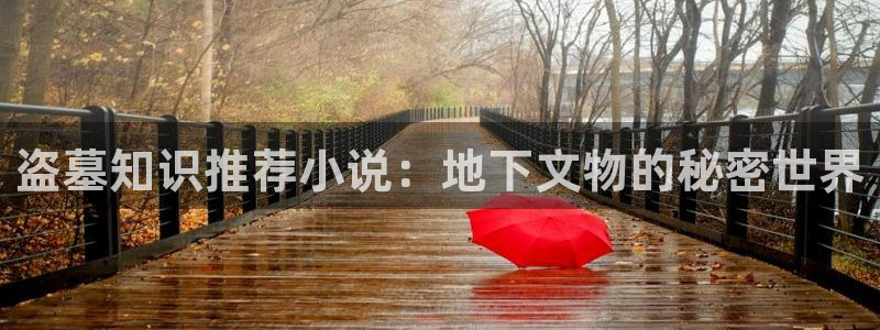 类似趣书网的网站：盗墓知识推荐小说：地下文物的秘密世界