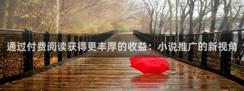 高度契合txt趣书网：通过付费阅读获得更丰厚的收益：小说推广的新视角