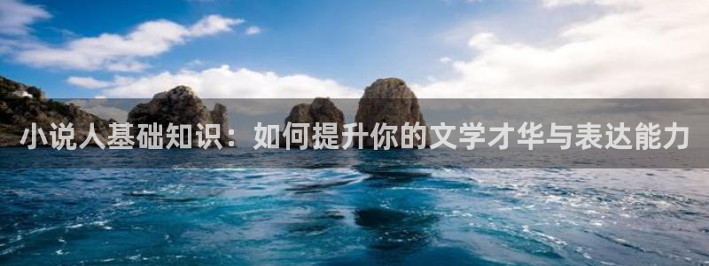 趣书阁：小说人基础知识：如何提升你的文学才华与表达能力