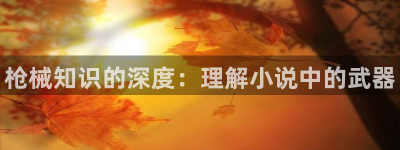 笔趣书阁蓝色旧版：枪械知识的深度：理解小说中的武器